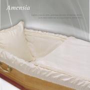 Amensia