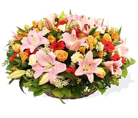 Panier - coussin rond